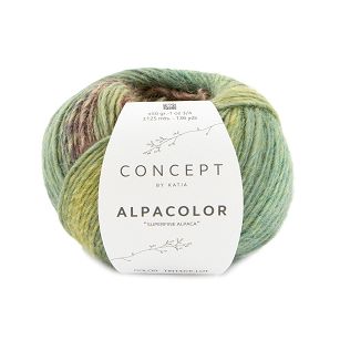 Włóczka Alpacolor kolor 107