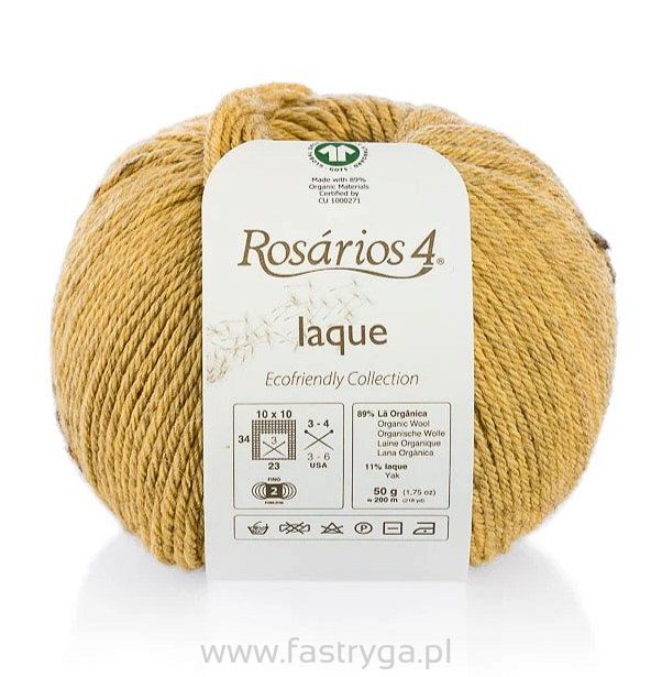 Iaque  5