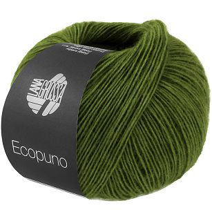 Ecopuno 221