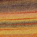 Azteca Fine Socks & Tones   10 - 2
