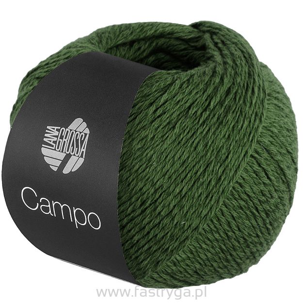 Campo  31