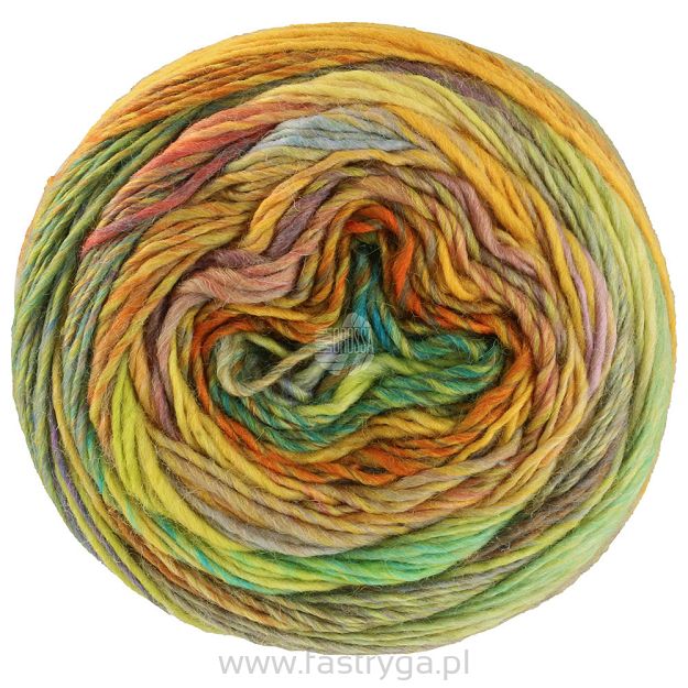 Colorissimo 213