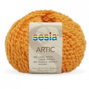Artic 1964 dynia