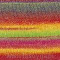 Azteca Fine Socks & Tones   11 - 2