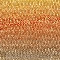 Azteca Fine Socks & Tones   23 - 2