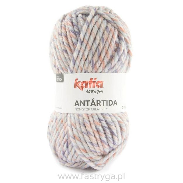 Antartida  305