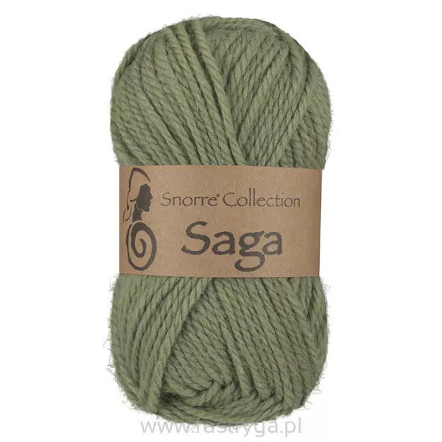 Saga   431