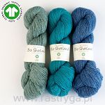 Bio Shetland  27 - 6