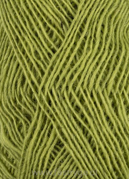 Fiallalopi  3032