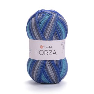 Forza  2502