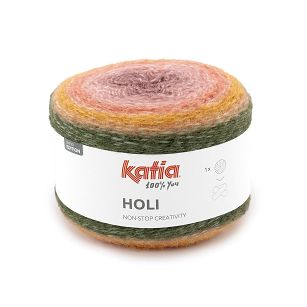 Holi   504