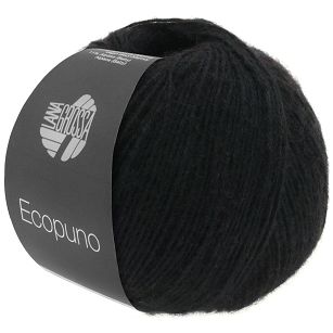 Ecopuno 016
