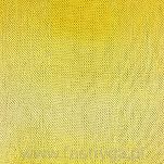 Gomitolo Tono  1031 - 6