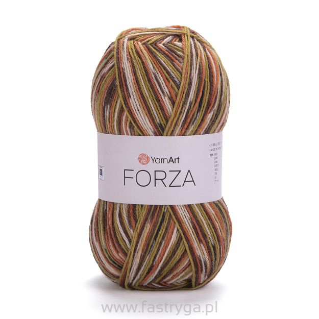 Forza  2511