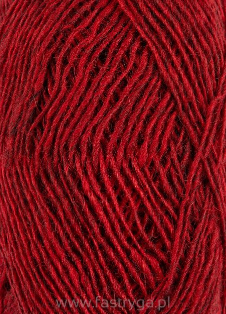 Fiallalopi  3061