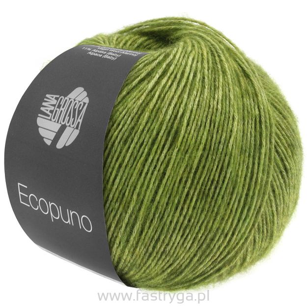 Ecopuno 002