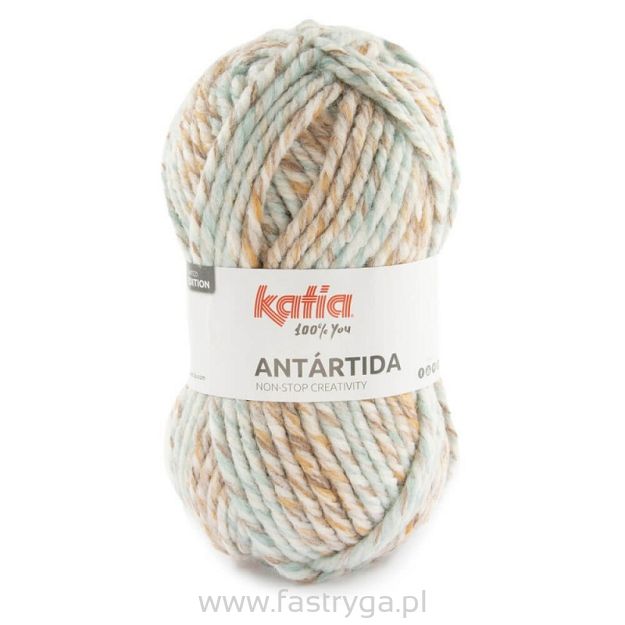 Antartida  303
