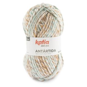 Antartida  303