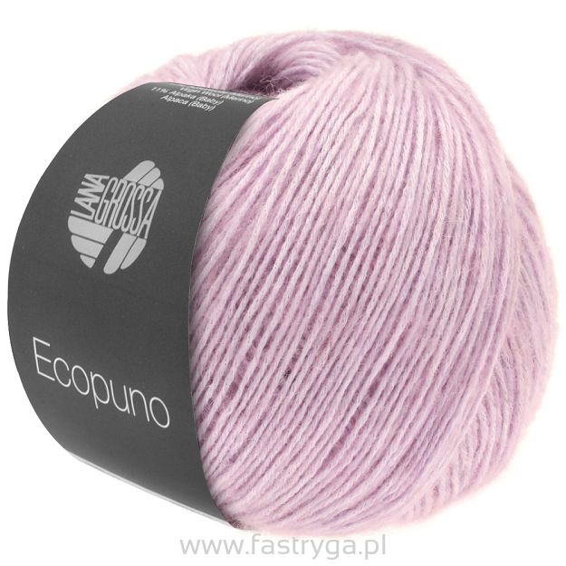 Ecopuno 008