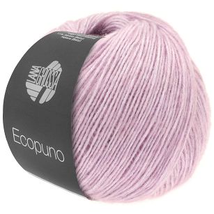 Ecopuno 008