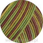 Cool Wool Print   839 - 2