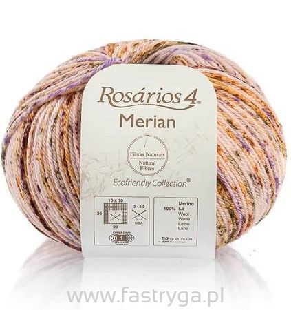 Merian  3