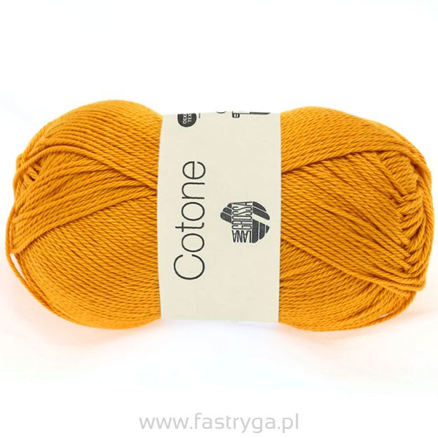 Cotone    38