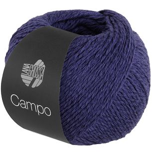 Campo  07