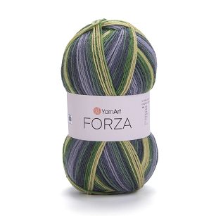 Forza  2505