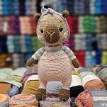 Cotone    137 - 12