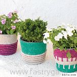 Washi   117 - 8