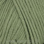 Bamboo  634 - 2