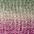 Azteca Fine Socks & Tones   21 - 2